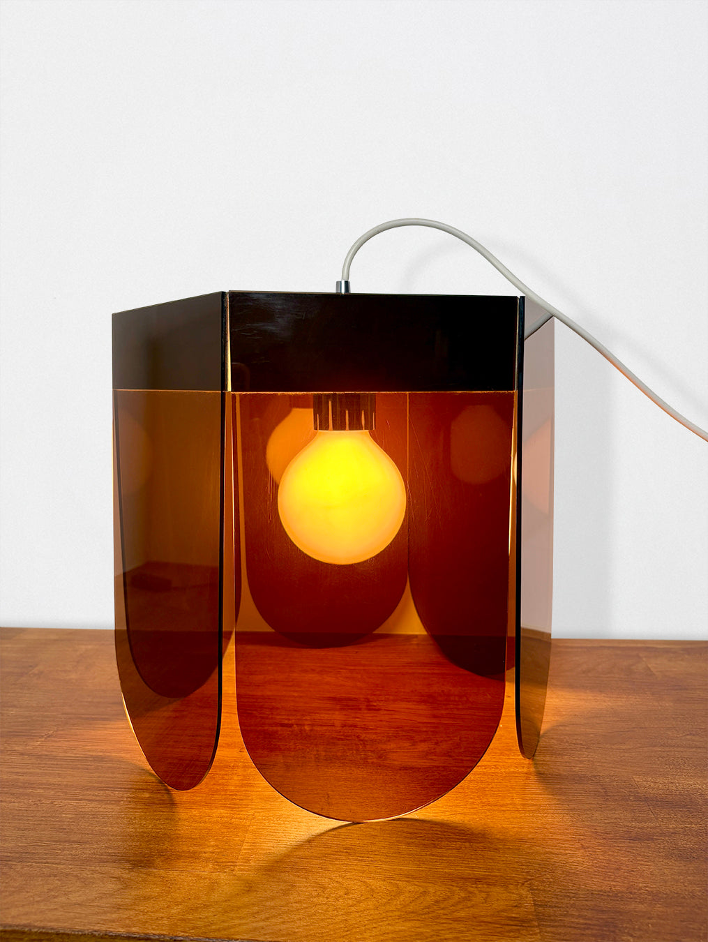 Plexiglass flower hanging