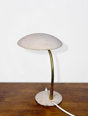 Mushroom pink lamp