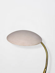 Mushroom pink lamp