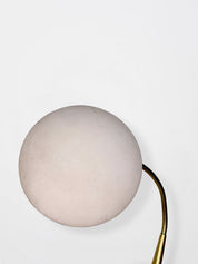 Mushroom pink lamp